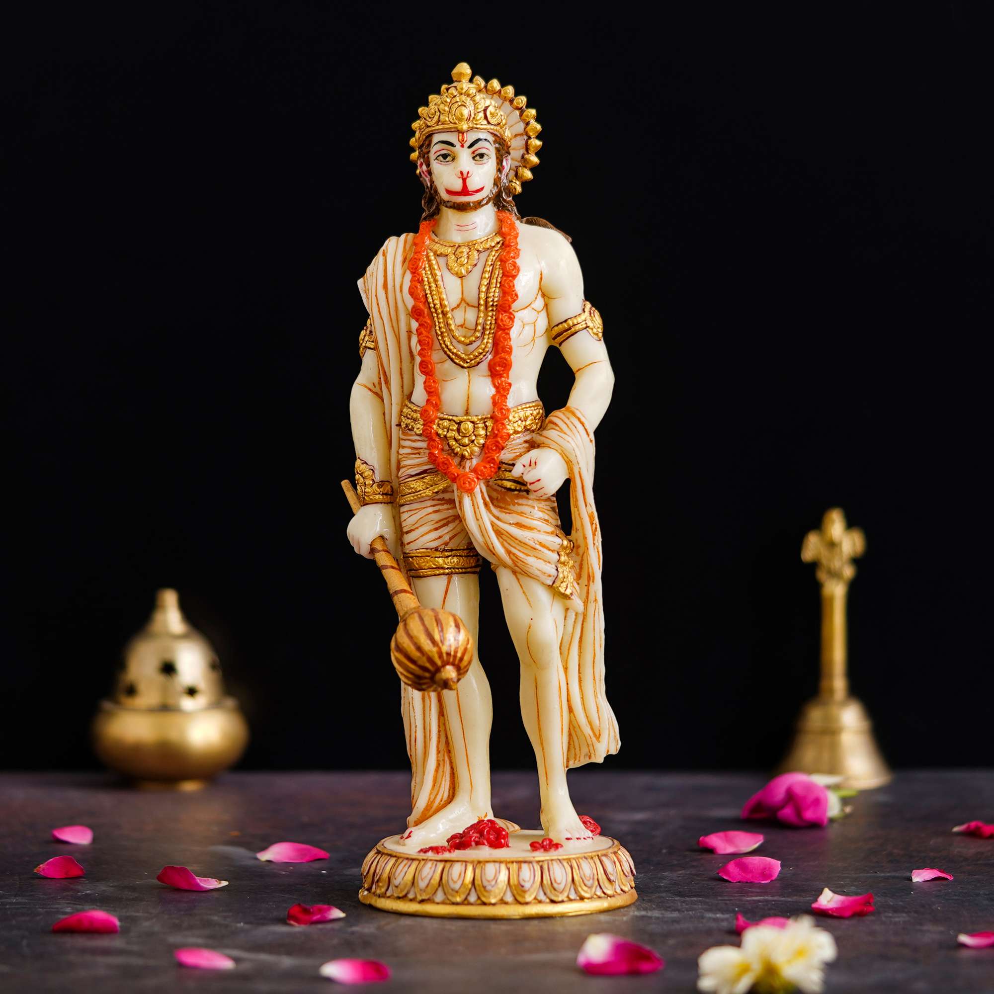 Chitran Product Photography